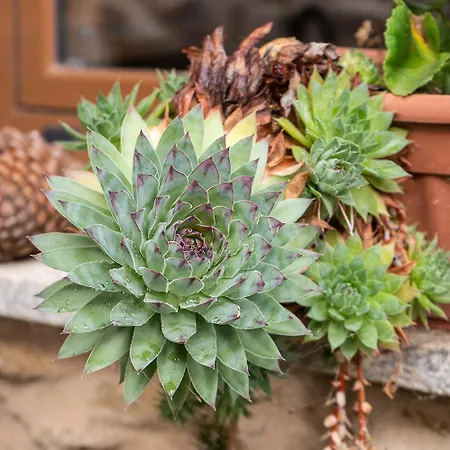 Country house Casa Ruperto