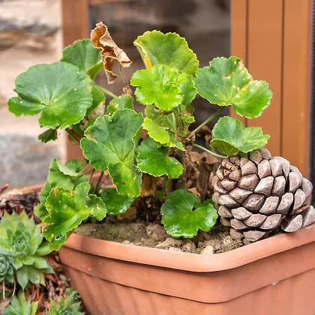 Country house Casa Ruperto