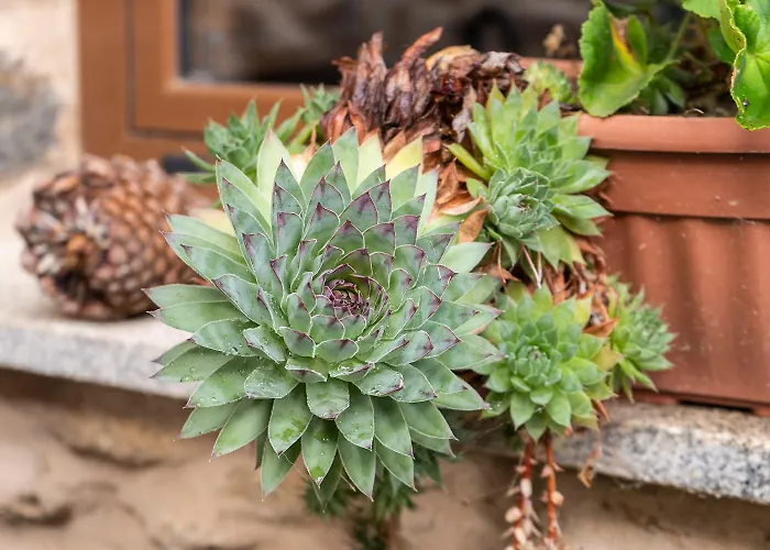 Летний дом Casa Ruperto