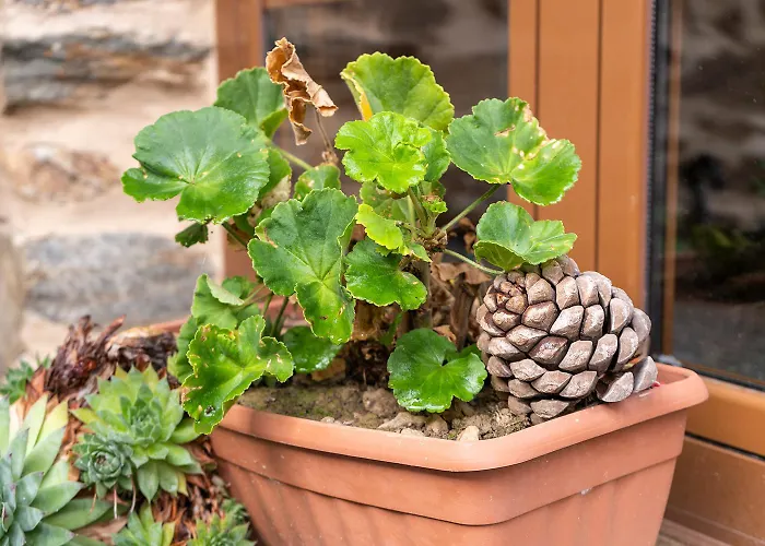 컨트리하우스 Casa Ruperto